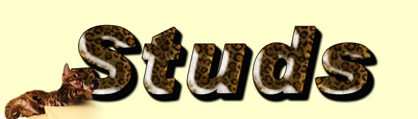 Kater