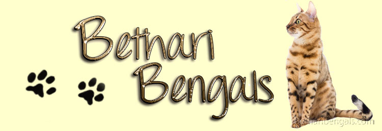 Bethari Bengal Vina