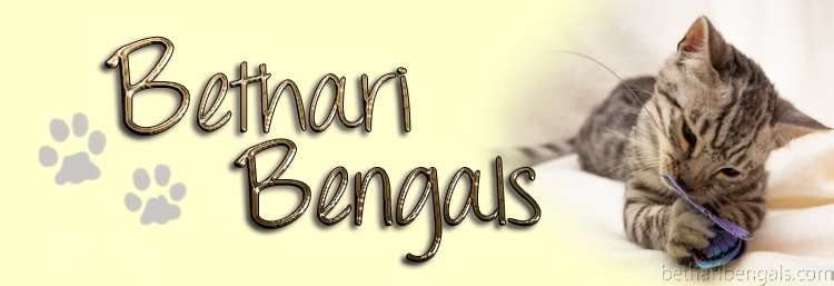 Bethari Bengal Rani