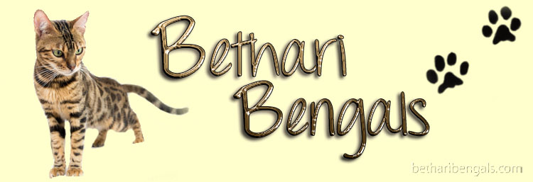 Bethari Bengal Kamea