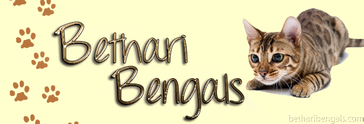 Bethari Bengal Unati