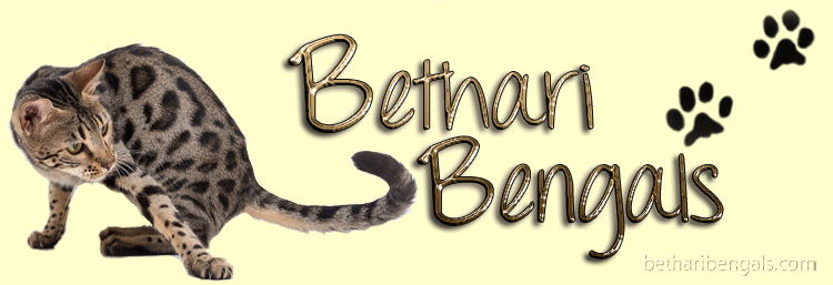 Bethari Bengal Xelia